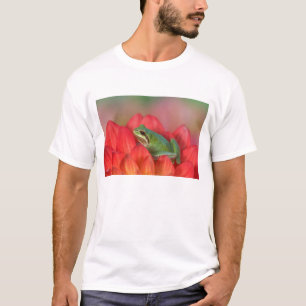 T-shirt Rã-arbórea-do-pacífico em flores no jardim