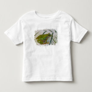 T-shirt Rã-arbórea-do-pacífico em flores no nosso jardim,