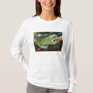 T-shirt Rã-Árvore de Olho Grande, Leptopelis vermiculatus,