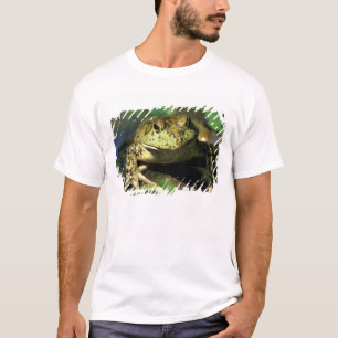 T-shirt Rã-touro.