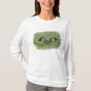 T-shirt Rã-touro, Rana catesbeiana, adulta em lentilha-d'á