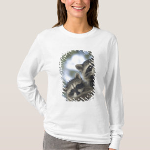 T-shirt Raccoons Procyon Lotor) do lago de Peixes, Central