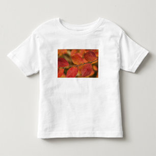 T-shirt Ramo coberto com folhas de outono
