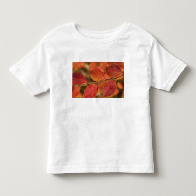 T-shirt Ramo coberto com folhas de outono (Frente)