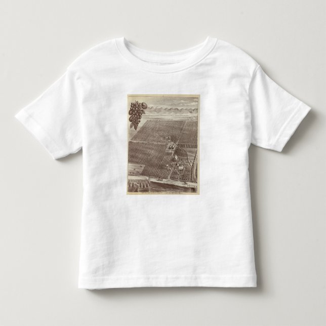 T-shirt Rancho da fruta de Chapin (Frente)