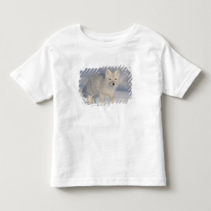 T-shirt Raposa Ártica, Alasca