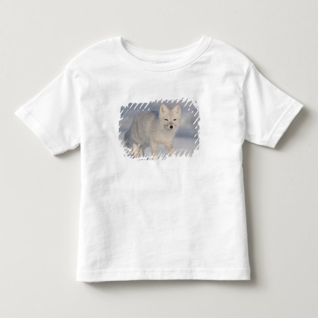T-shirt Raposa Ártica, Alasca (Frente)