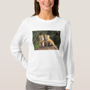 T-shirt Raposa vermelha filhote na frente da toca Vulpes v
