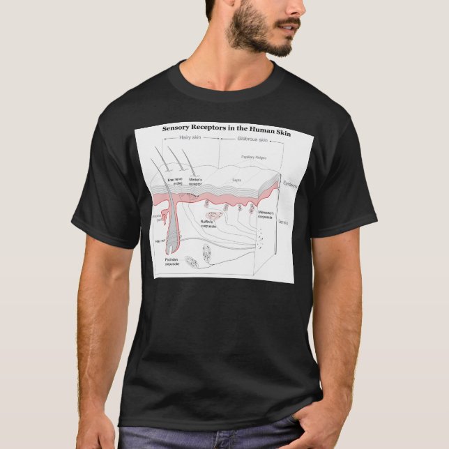 T-shirt Receptores sensoriais no diagrama da pele humana (Frente)