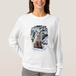 T-shirt Red Fox sentado no banco de neve, Vulpes, Monte.