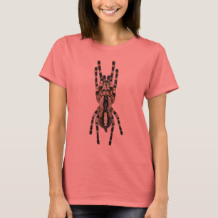 T-shirt Regalis de Poecilotheria (Ornamental indiano)