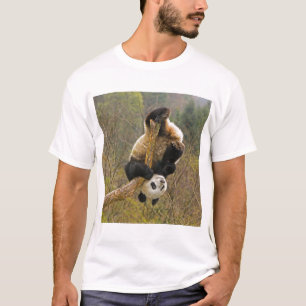T-shirt Reserva de Pandas Wolong, China, 2 1/2 anos de ida
