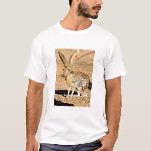 T-shirt Retrato do lebre-pronghorn, Arizona