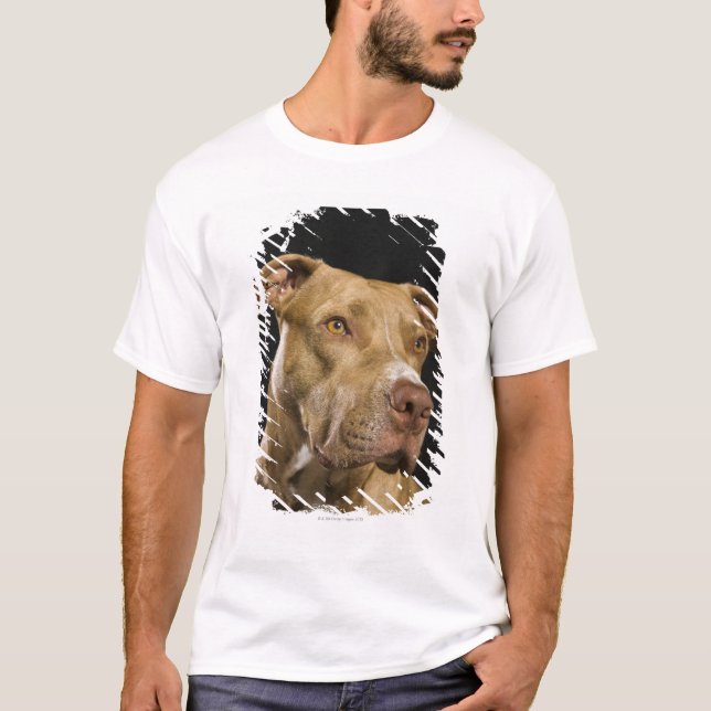T-shirt Retrato do pitbull vermelho do nariz com preto (Frente)