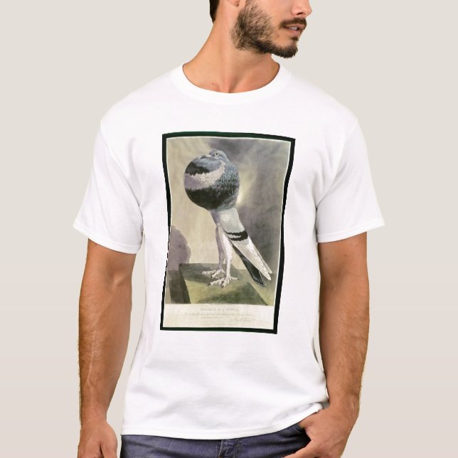T-shirt Retrato do pombo do Pouter (Frente)