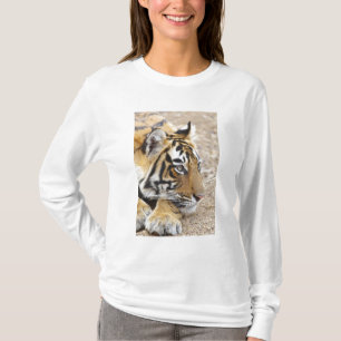 T-shirt Retrato do Tigre-de-bengala-real, Ranthambhor