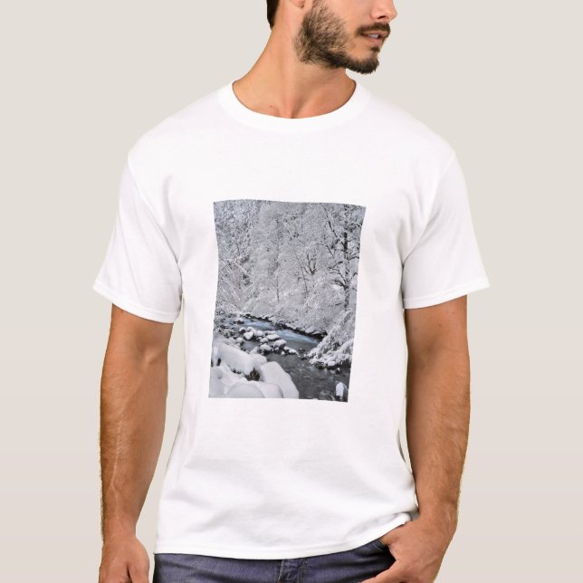 T-shirt Ribeirão branco nevado cênico, Oregon (Frente)
