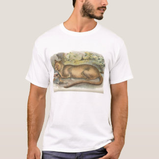 T-shirt Richard Lydekker - fossa
