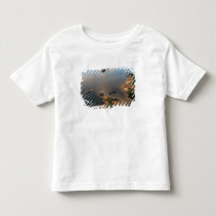 T-shirt Rio Essequibo, o rio mais longo da Guiana, e 2