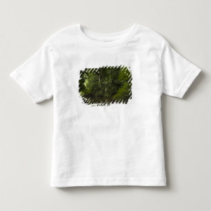 T-shirt Rio Mapari, Mapari Rupununi, Guiana.