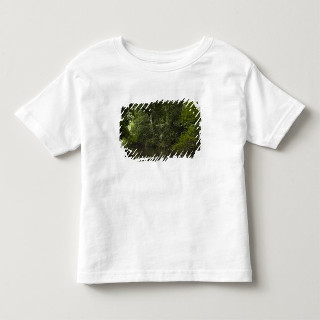 T-shirt Rio Mapari, Mapari Rupununi, Guiana. (Frente)