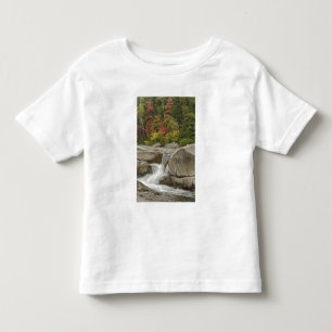 T-shirt Rio Swift em cascata através de rochas, Branco
