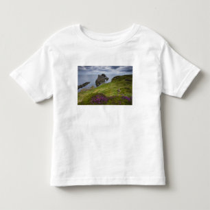 T-shirt Rocha do violino do arco, Portknockie, Scotland