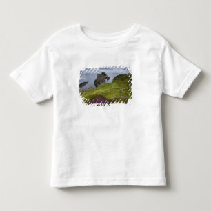 T-shirt Rocha do violino do arco, Portknockie, Scotland