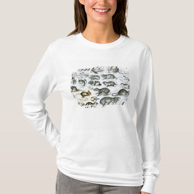 T-shirt Rodentia-Roedores ou animais de roedura (Frente)