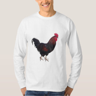 T-Shirt Rooster de Capa Longa, de uso masculino