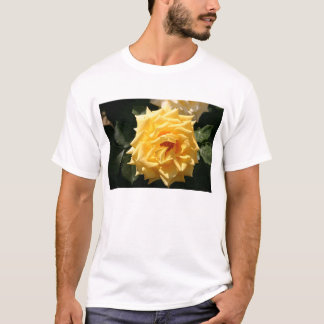 T-shirt Rosa amarelo