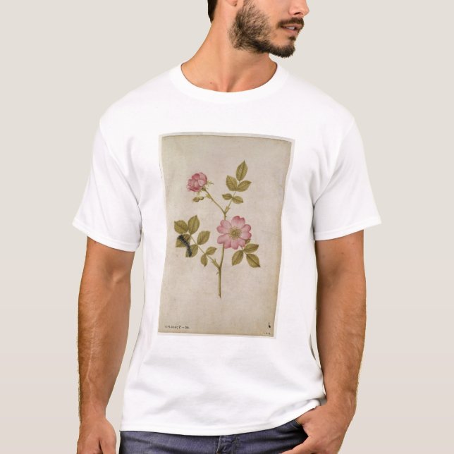 T-shirt Rosa Canina - Dogrose e Caterpillar (lápis & com (Frente)