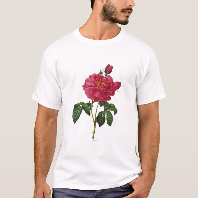 T-shirt Rosa Gallica (Frente)