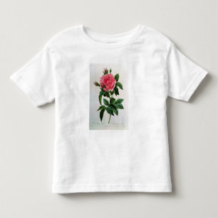 T-shirt Rosa Gallica Regallis