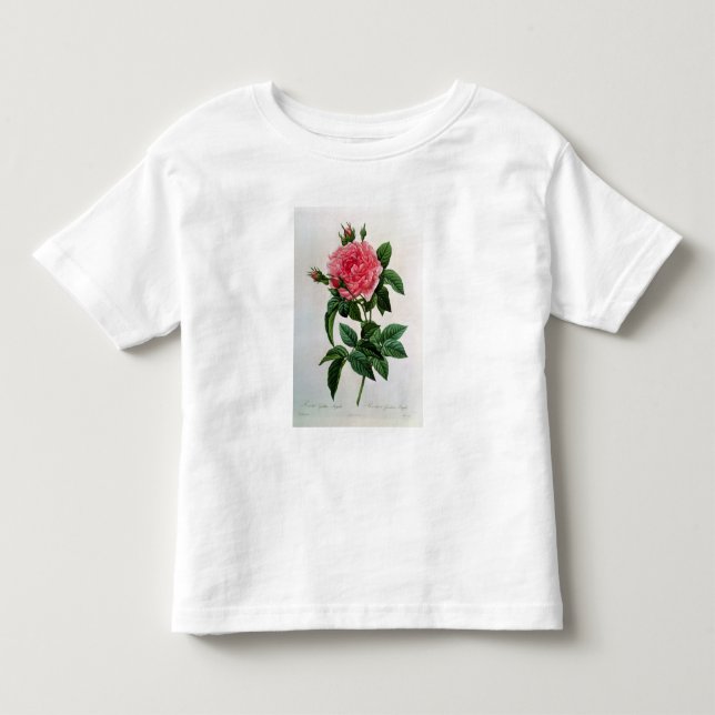 T-shirt Rosa Gallica Regallis (Frente)