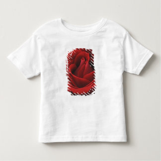 T-shirt Rosa vermelha de florescência