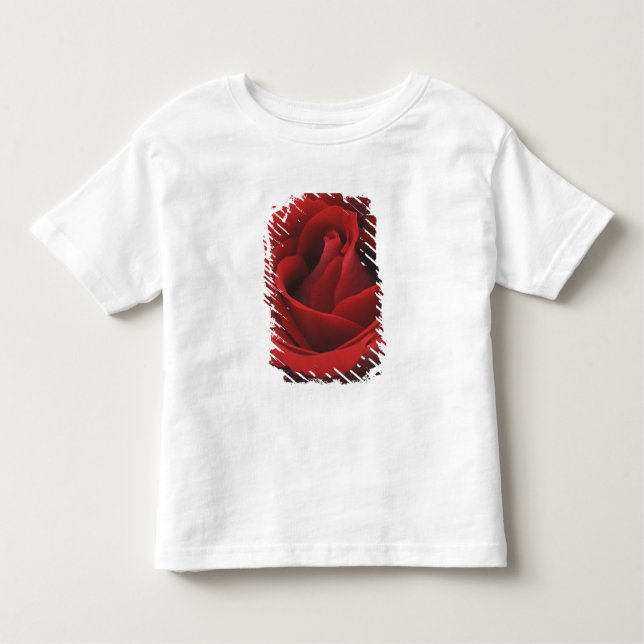 T-shirt Rosa vermelha de florescência (Frente)