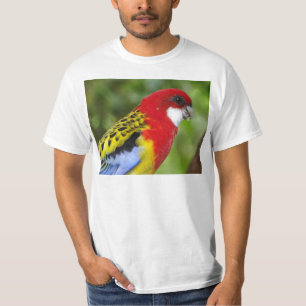 T-shirt Rosella oriental masculino