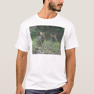 T-shirt Roupas Presentes Par de Coelhos Selvagens Cottonta