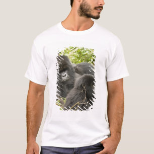 T-shirt Ruanda, Parque Nacional dos Vulcões