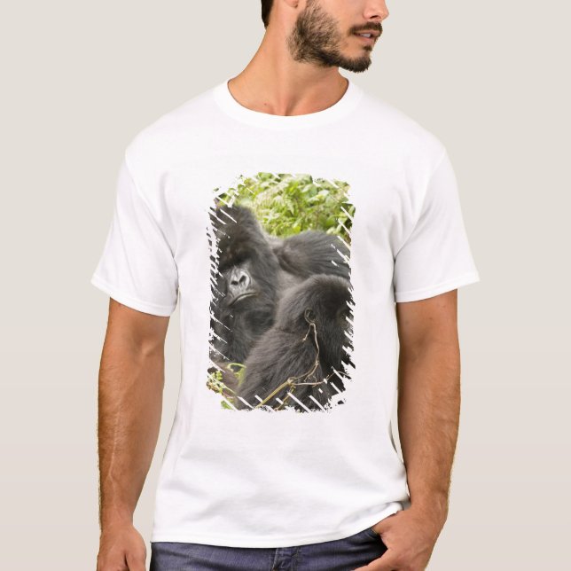 T-shirt Ruanda, Parque Nacional dos Vulcões (Frente)