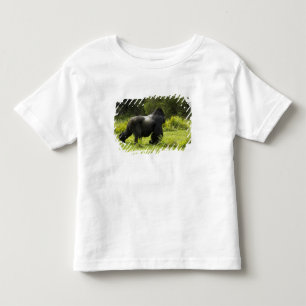 T-shirt Ruanda, Parque Nacional dos Vulcões