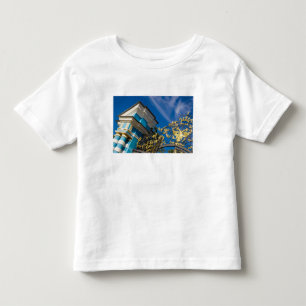 T-shirt Rússia, Pushkin. Detalhe do portão e torre de supo