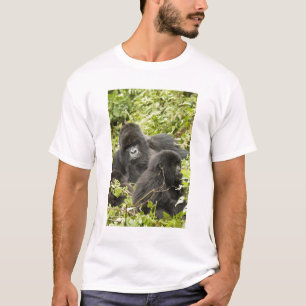 T-shirt Rwanda, parque nacional dos vulcões. Montanha