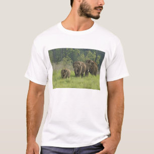 T-shirt Saída da família do elefante indiano