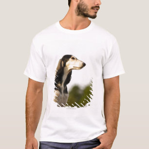 T-shirt Saluki 2