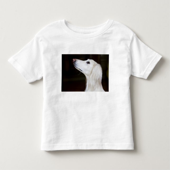 T-shirt Saluki que olha acima (Frente)