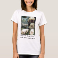 Salvamento maltês do puppymill