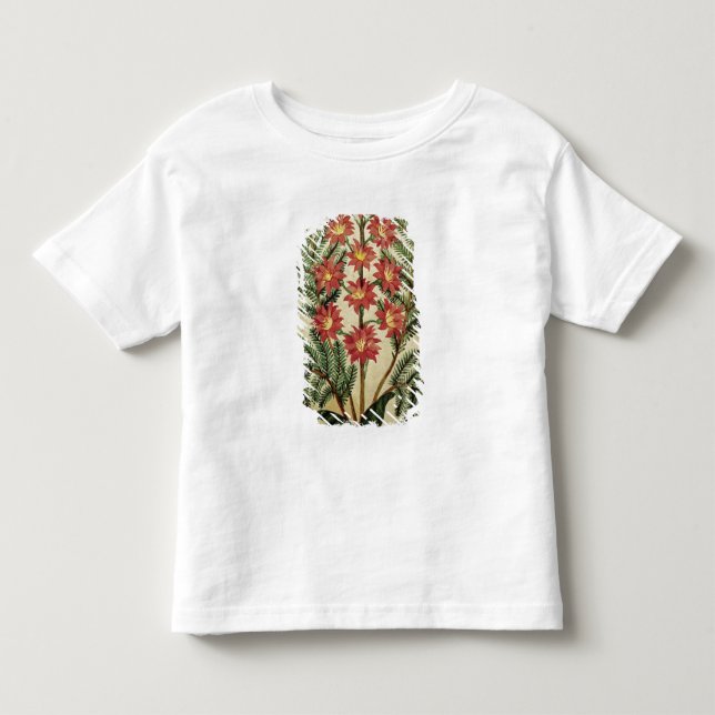 T-shirt Samambaia com as flores vermelhas e amarelas (Frente)