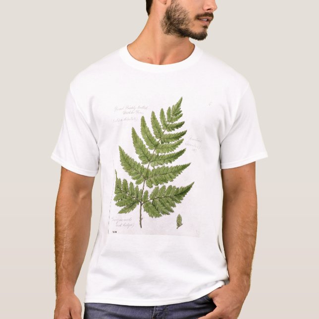T-shirt Samambaia de broquel Espinhoso-dentada larga, (Frente)
